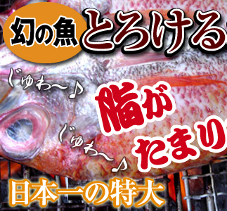 のどぐろは幻の魚