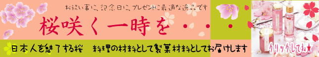 日本人の大好きな桜の特集・桜フェアーです。