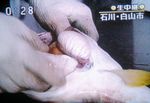 fuguco-tv07.jpg