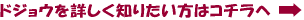 どじょうはこちらから