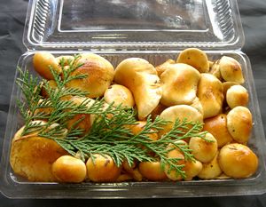 nameko14-1.jpg