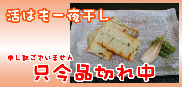 hamoyoyaku.jpg
