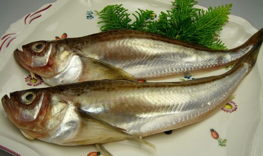 hatahata006-1.jpg