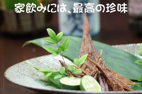 ienomikuchiko001.jpg
