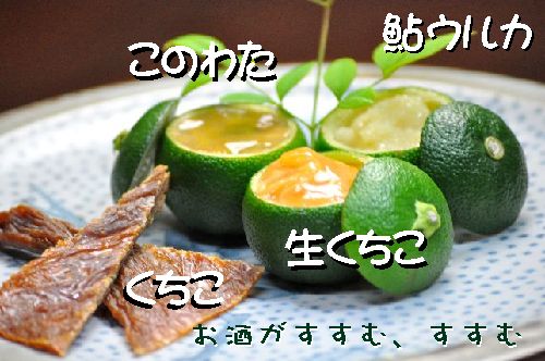ienomikuchiko002.jpg