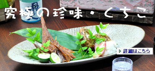 ienomikuchiko004.jpg