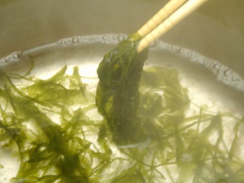 iwanoriwaji041.jpg