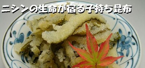 komochikonbu00033.jpg