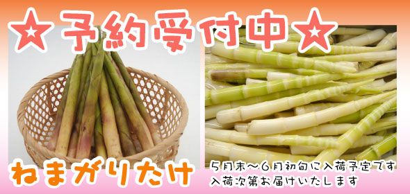 nemagaritakeyoyaku.jpg