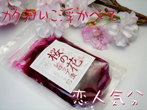 sakurahanasirotupu0012.jpg