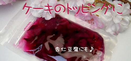 sakurahanasirotupu0021.jpg