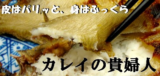 sasakarei021-2.jpg