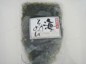 umi-soumen21-1.jpg