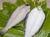 鰈の干物