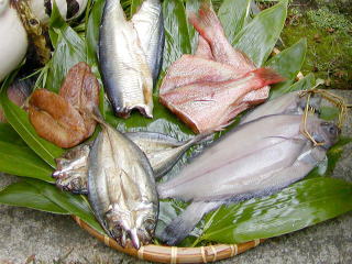 輪島の干物