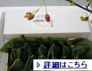 aisu003.jpg