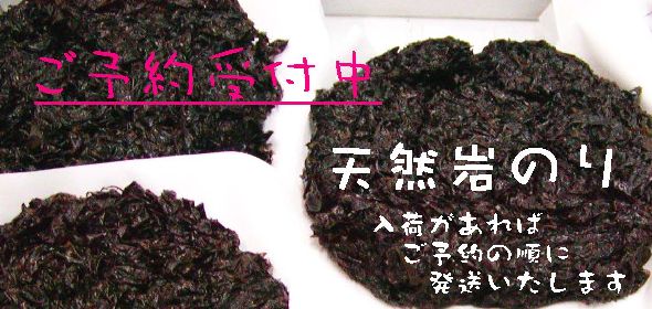 iwanori0011.jpg