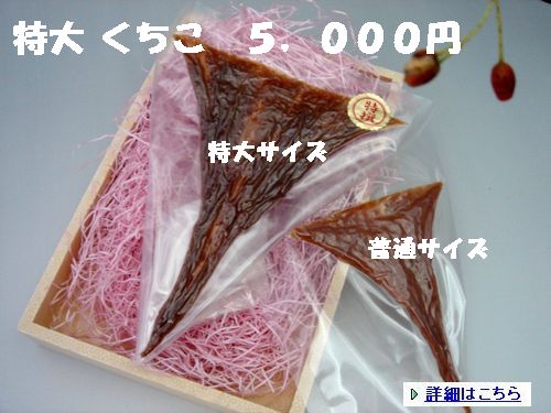 kuchiko-big0042.jpg