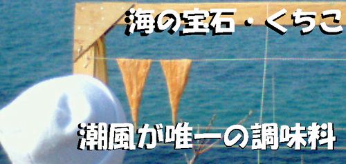 kuchiko103.jpg