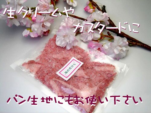 sakurahanabira0012.jpg
