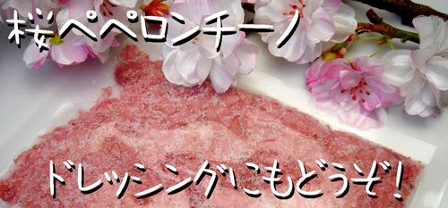 sakurahanabira0031.jpg