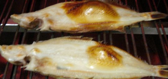sasakarei012.jpg