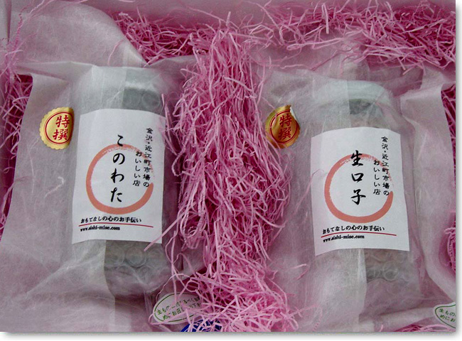 冬の海 このわた 生くちこ