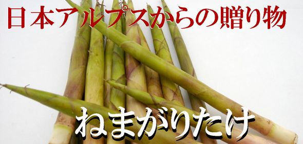 ねまがりたけ